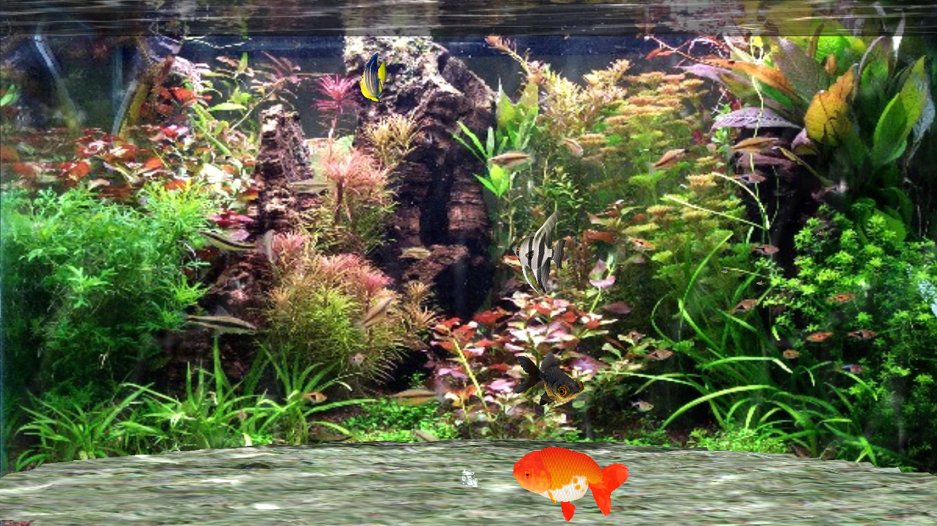 Fantastic Fish Screensaver for PC Mirror Blog