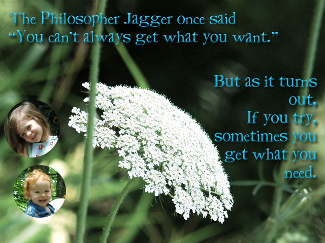 Philosopher Jagger