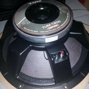 speaker ads 18 inch subwoofer