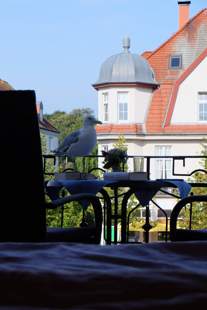 Nebel in Kühlungsborn | Ostsee | Minza will Sommer Kühlungsborn, Ostsee, Reisen in Deutschland, Urlaub in Deutschland, Tag am Meer, Mecklenburg-Vorpommern, Bäderarchitektur, Minza will Sommer