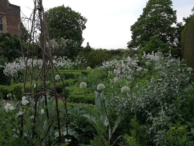 White Garden biały ogród