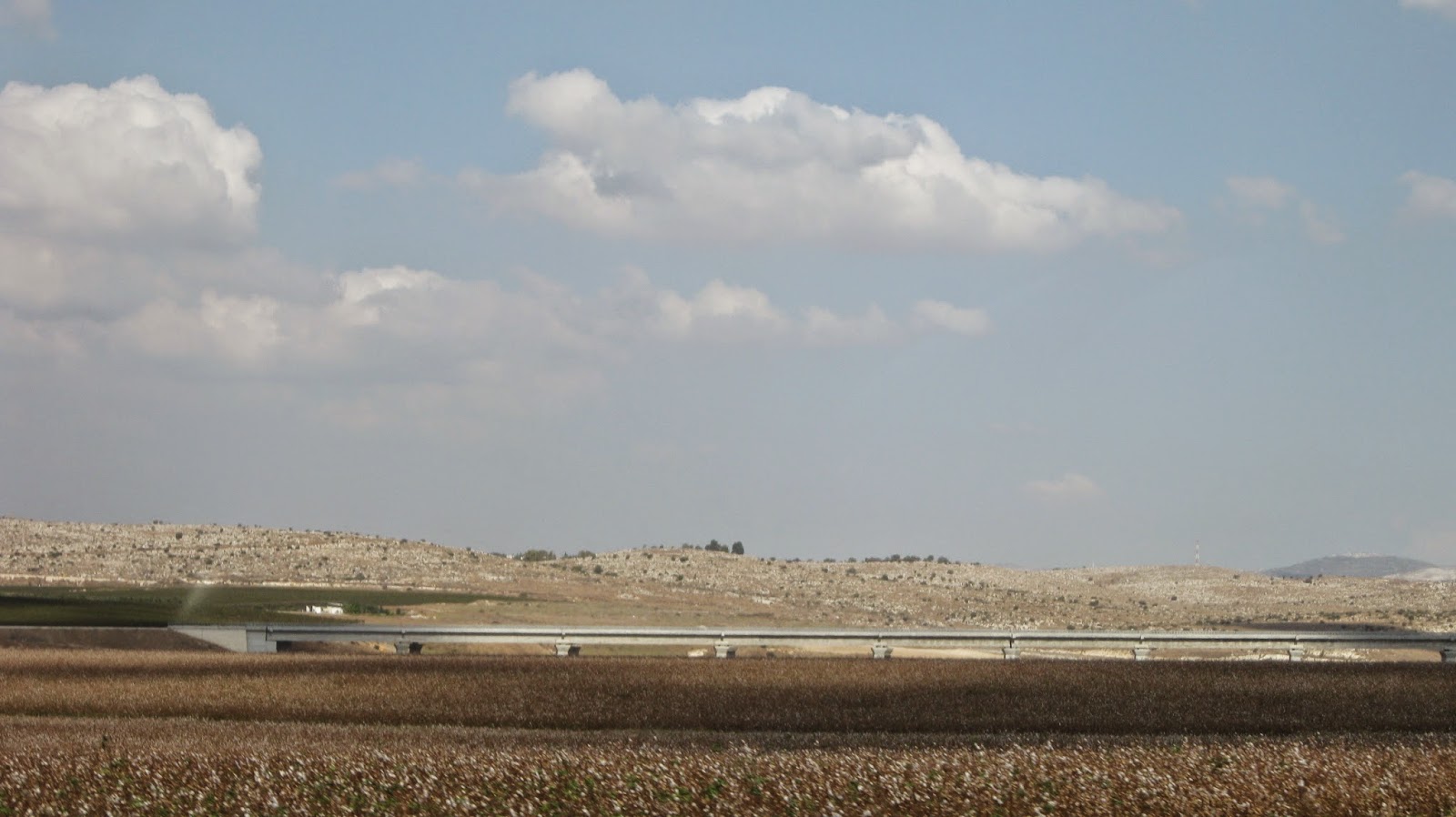 Walking Ancient Paths Valley of Ayalon