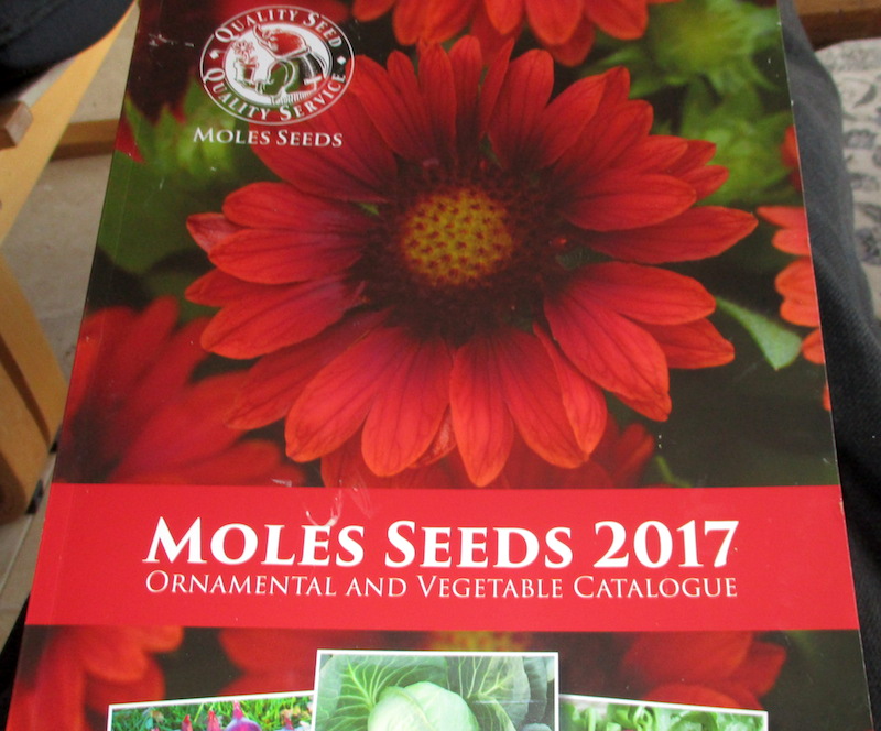 Roger Brook the no dig gardener Mighty Mole Seeds