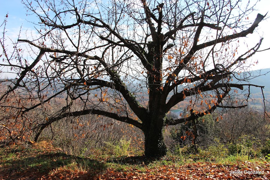 Valle de las Batuecas