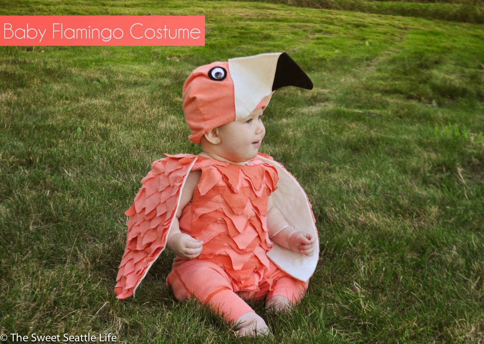 baby bowling ball costume