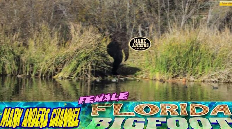 Gawd. Mark Anders Got His Own Skunk Ape Photograph