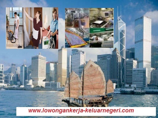 Informasi Lowongan Kerja Keluar Negeri Tanpa Biaya 2021