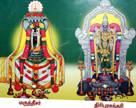 Marundeeswarar temple Thiruvanmiyur