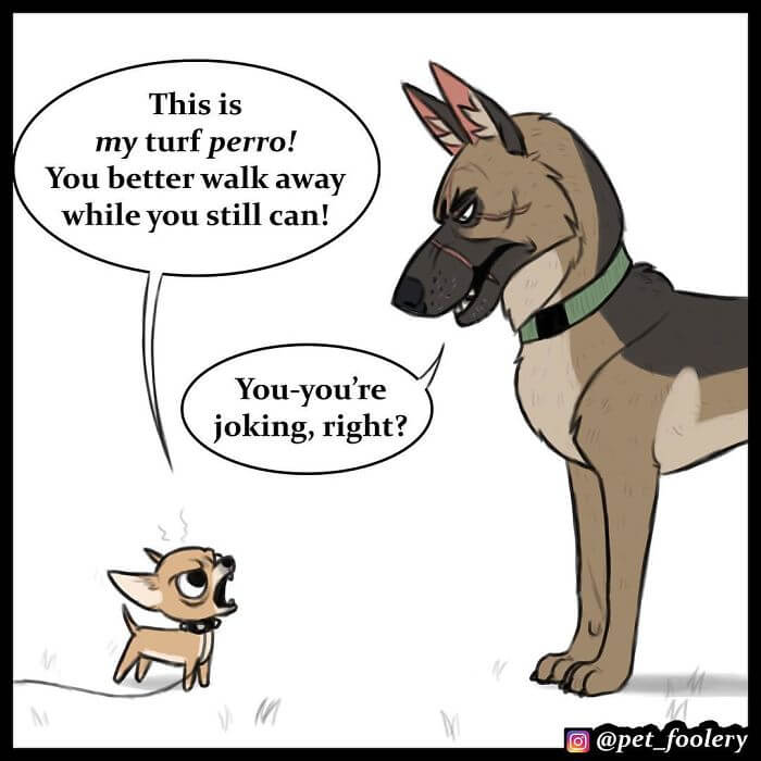 After Winning The Hearts Of Over 1,4M Followers, Pixie And Brutus Are Here With 6 More Adorable Comics After Winning The Hearts Of Over 1,4M Followers, Pixie And Brutus Are Here With 6 More Adorable Comics