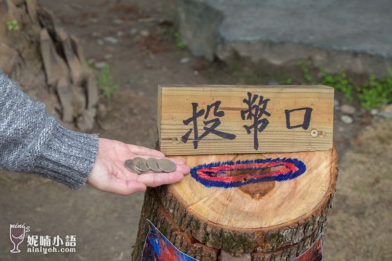 【花蓮秘境】鈺展苗圃。秋冬限定絕美落羽松秘境 【花蓮秘境】鈺展苗圃。秋冬限定絕美落羽松秘境