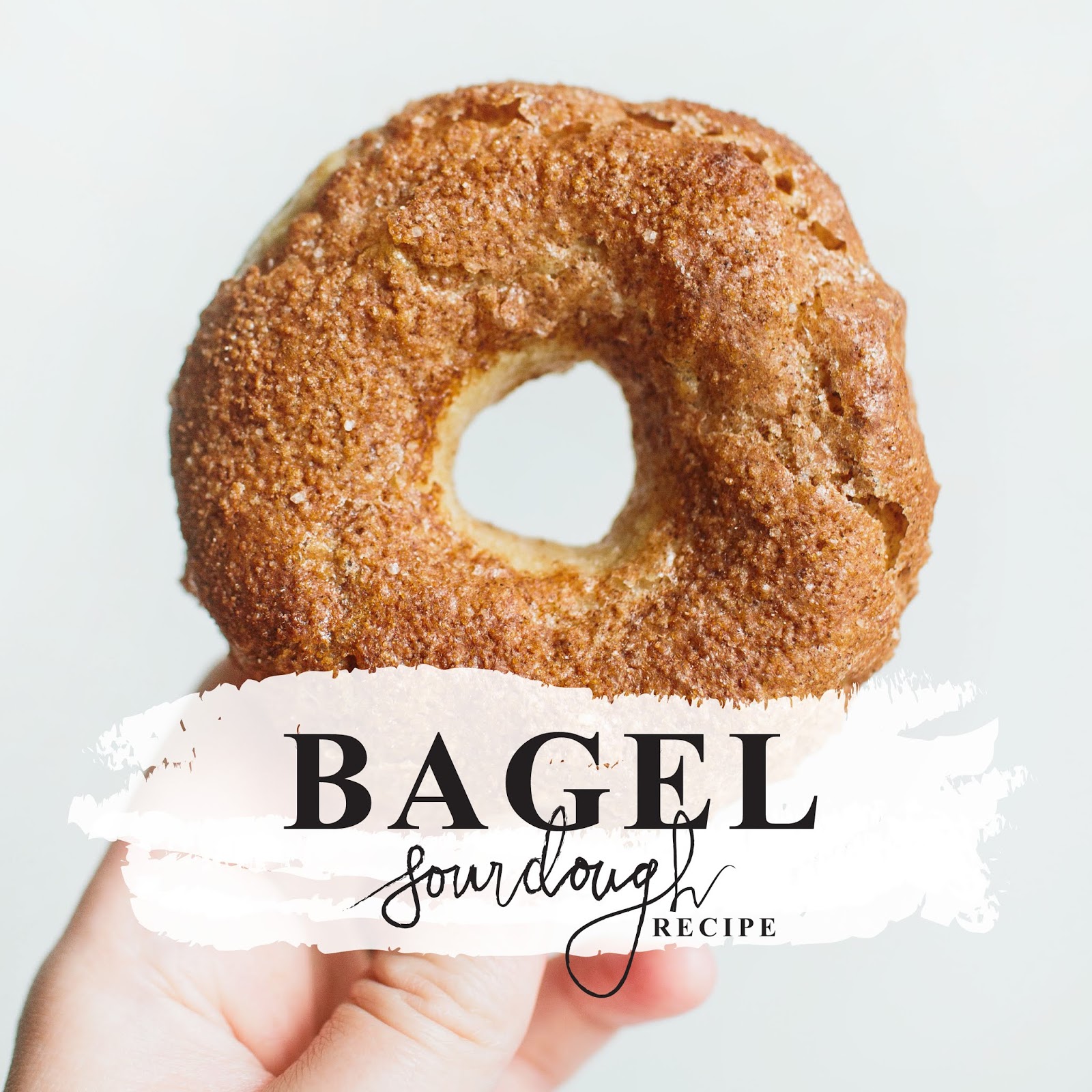 Sourdough Bagel Recipe