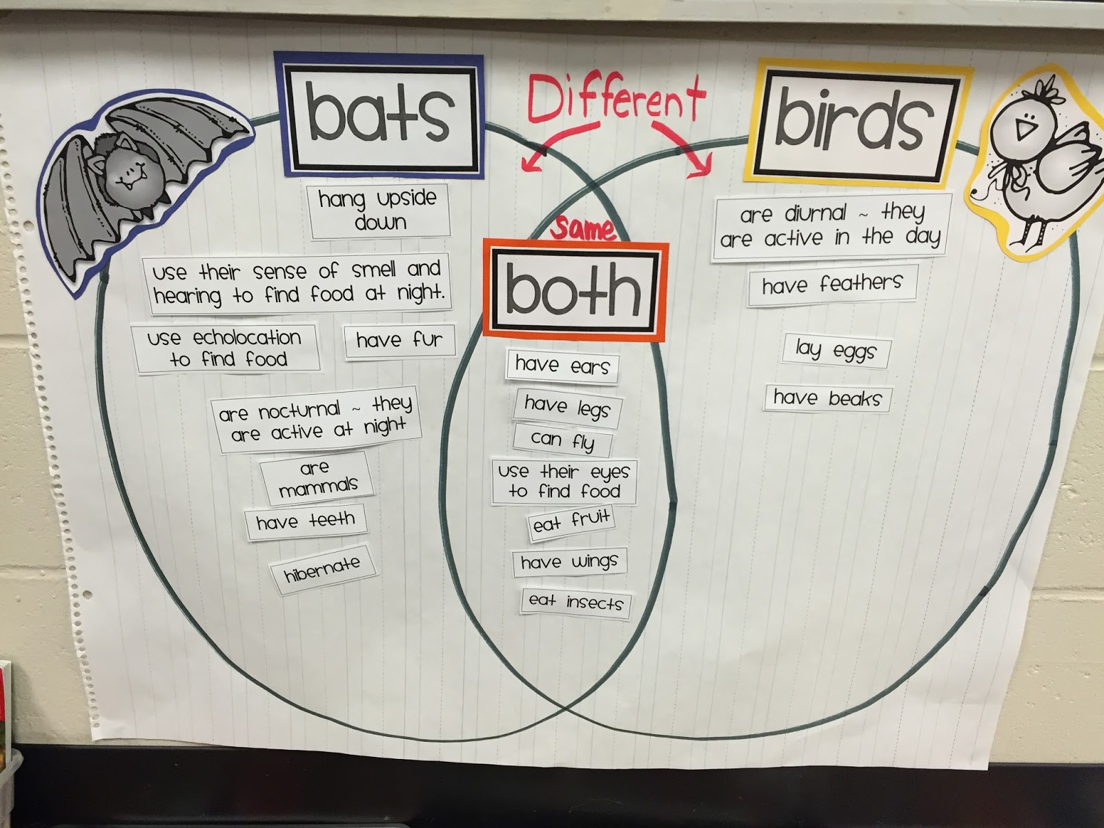 Ready, Set ... First Grade: Character Traits and Venn Diagrams!