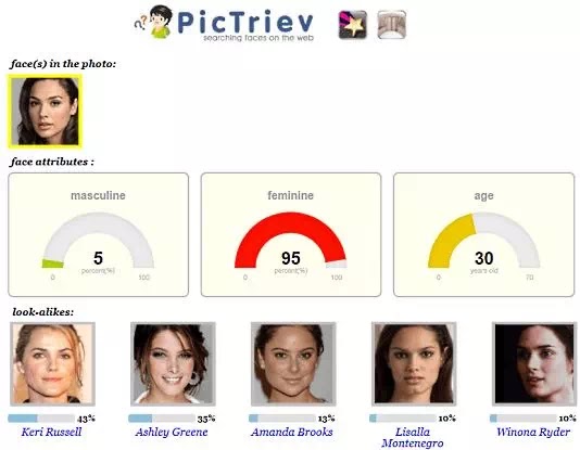4 Situs Pencari Wajah Untuk Mencari Wajah Di Internet Vraltimes