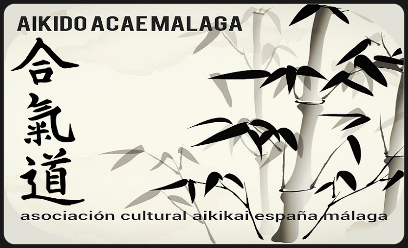 Aikido ACAE Málaga