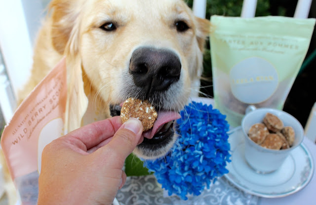 Leela Ryan Healthy Organic Apple Pie Dog Treats Review and Giveaway