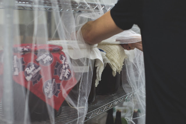 kombucha brewing in tanks