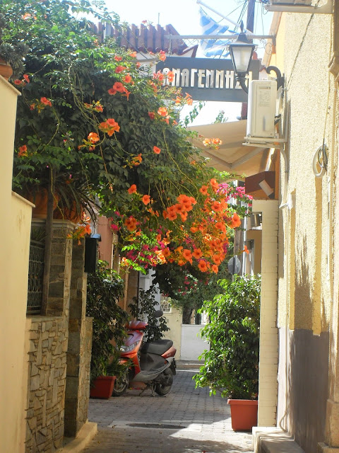 calles con flores de la isla griega Egina