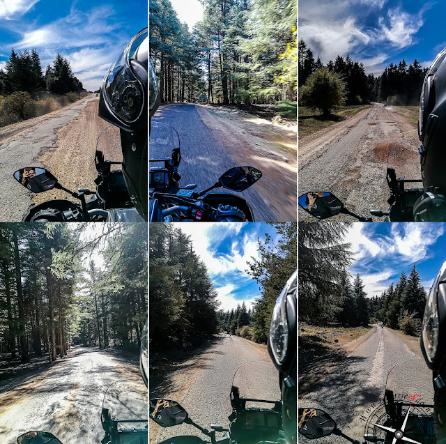 collage carretera bosque de Azrou