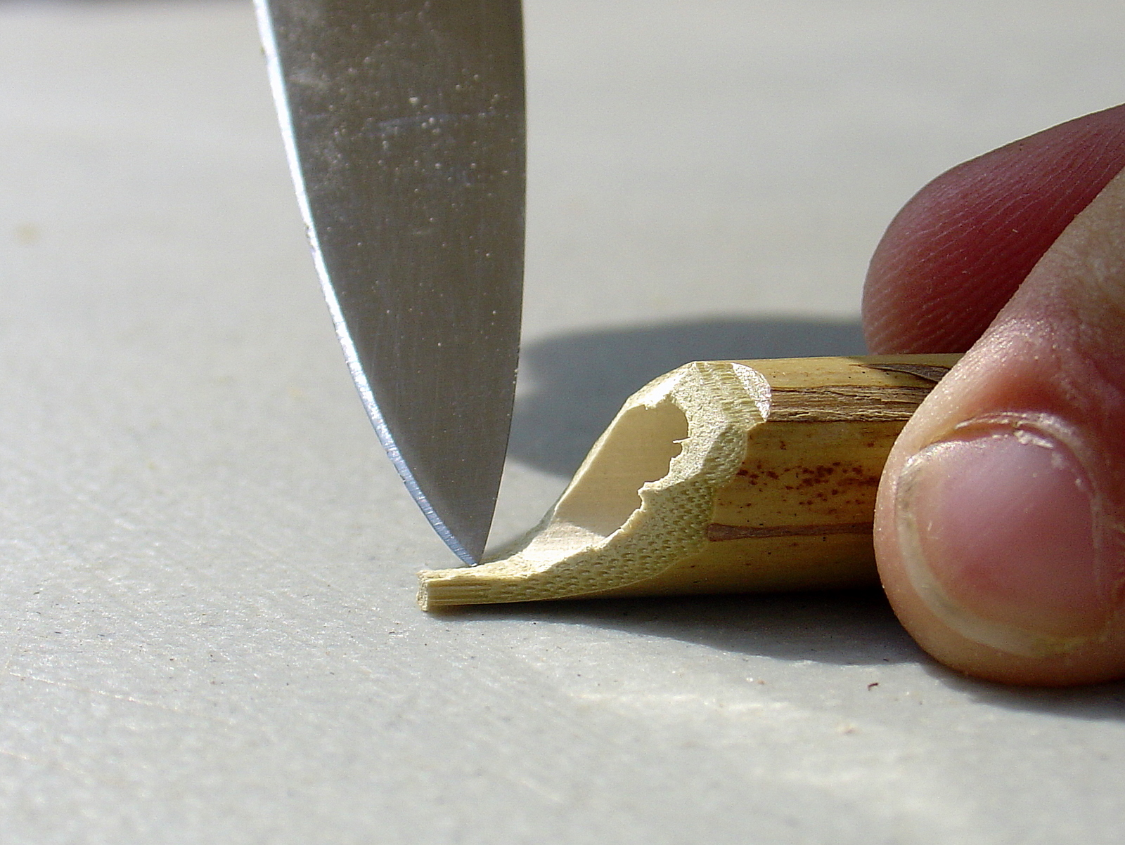 Tyler Dahl It's finally here! The long awaited bamboo dip pen tutorial!