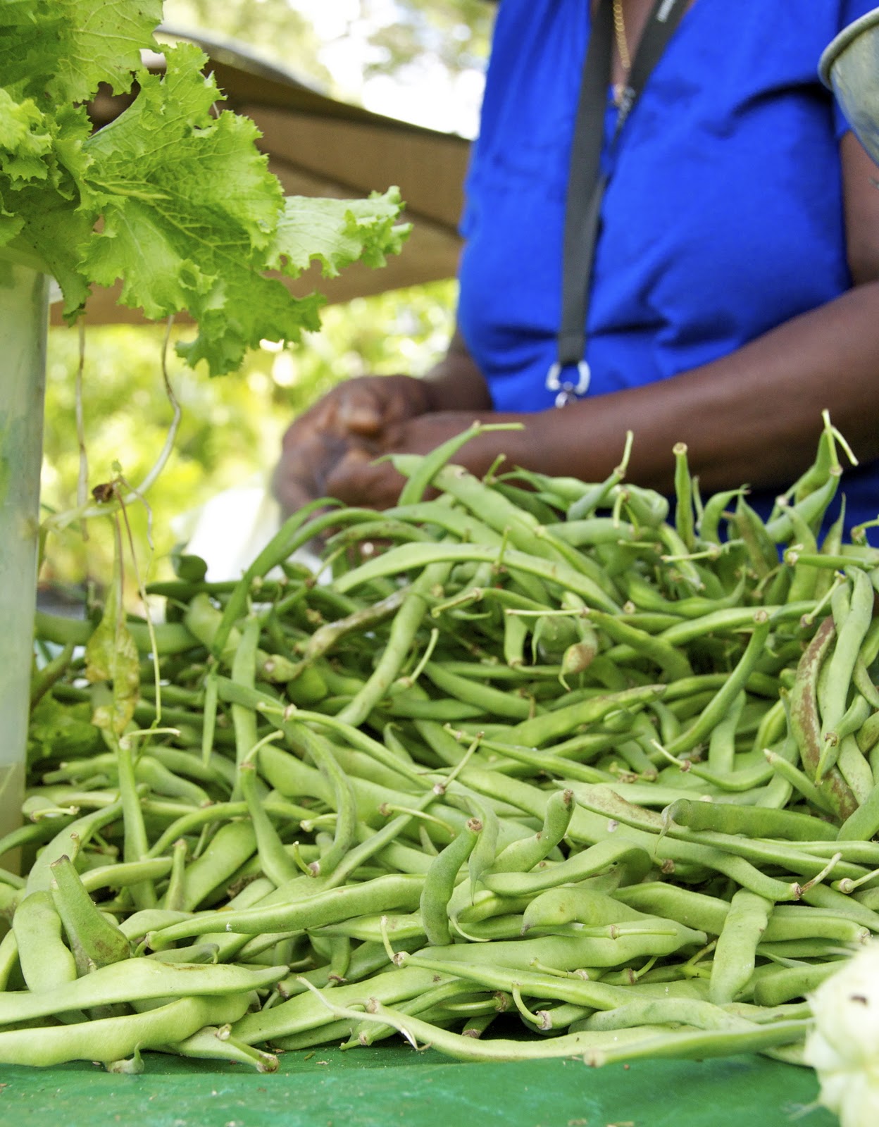 Loop Barbados A Market to Visit! Holders Farmers Market