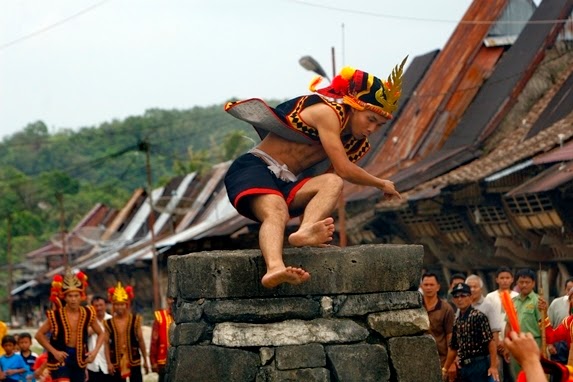 Fahombo A Jump Stone Rite Of Passage In Nias Island Indonesia Indonesian Islands Culture Tourism 