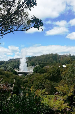 New Zealand bush with a geyser in the distance.