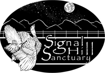 Please Help Signal Hill Sanctuary