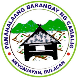 Barangay Camalig, Meycauayan City, Bulacan