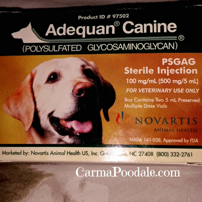 Carma Poodale How My Vet Helped My Back and Gave Me My Life Back