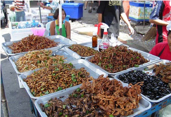 Deeped fried insect for snacks in Cambodia - Cambodia Legacy