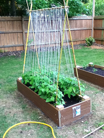 Everyday Finesse: A couple's first gardening experience