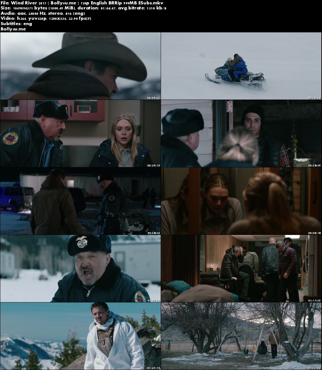 Wind River 2017 BRRip 300MB English 480p ESub Download Wind River 2017 BRRip 300MB English 480p ESub Download