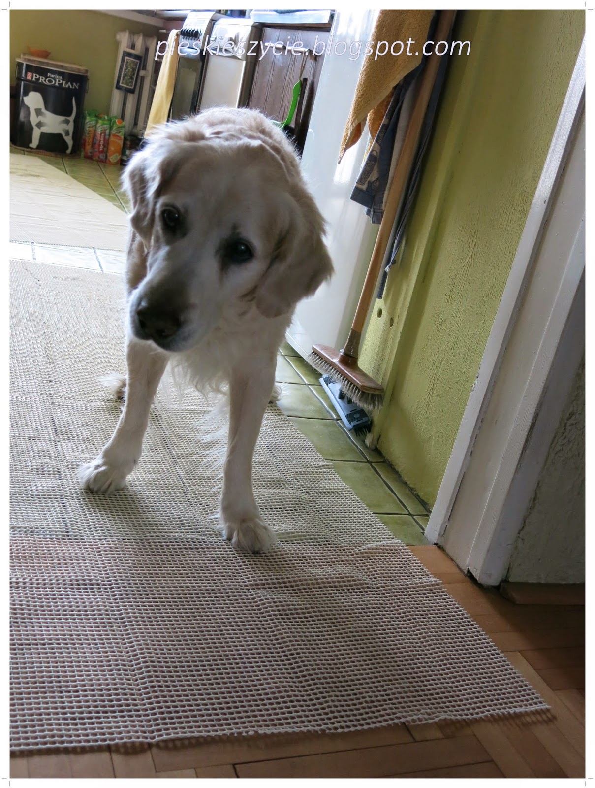 Jak uczyć sterydy a zaburzenia miesiączkowania lepiej niż ktokolwiek inny