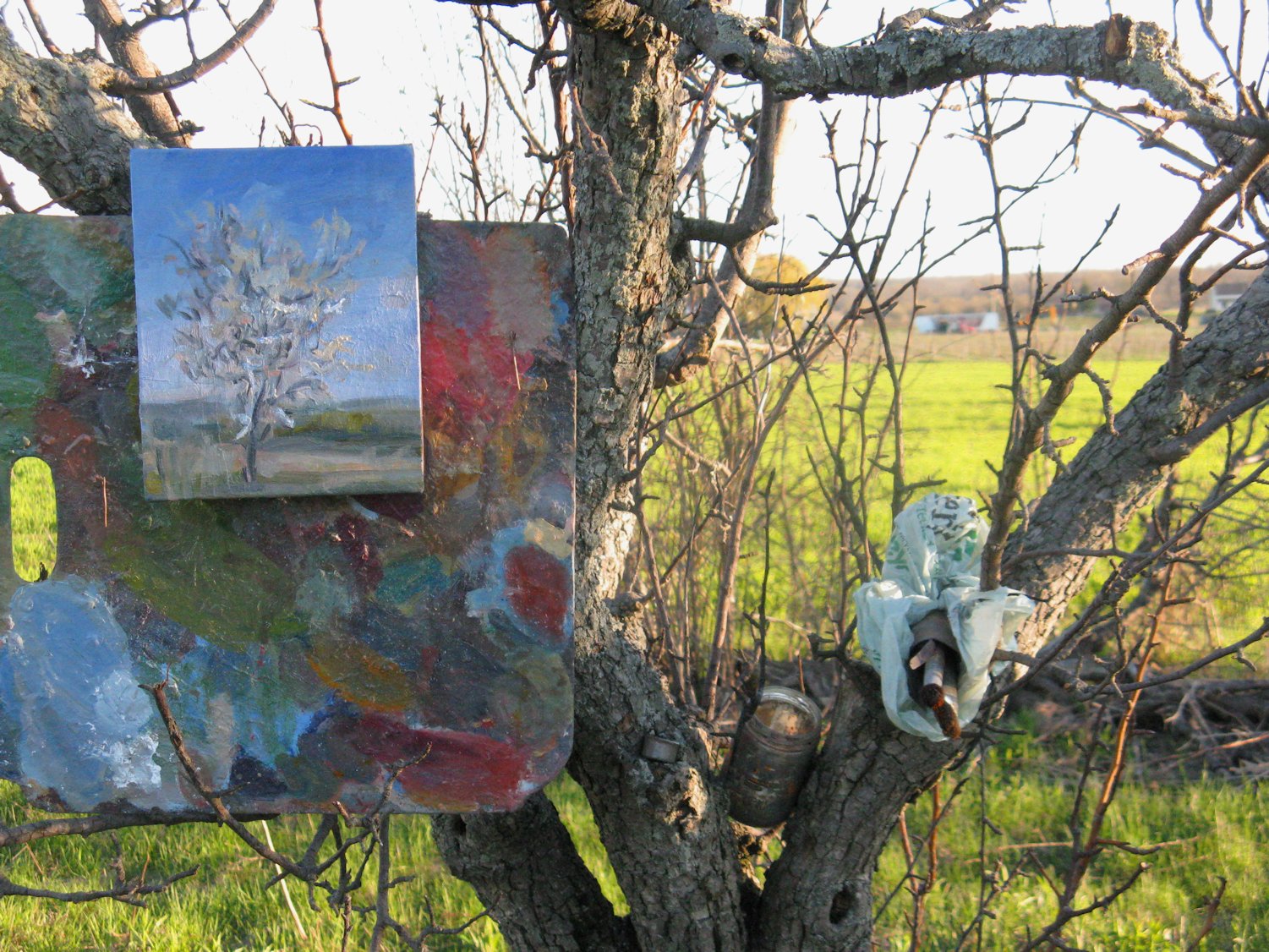 RECENT PAINTINGS & NEWS plein air tree easel
