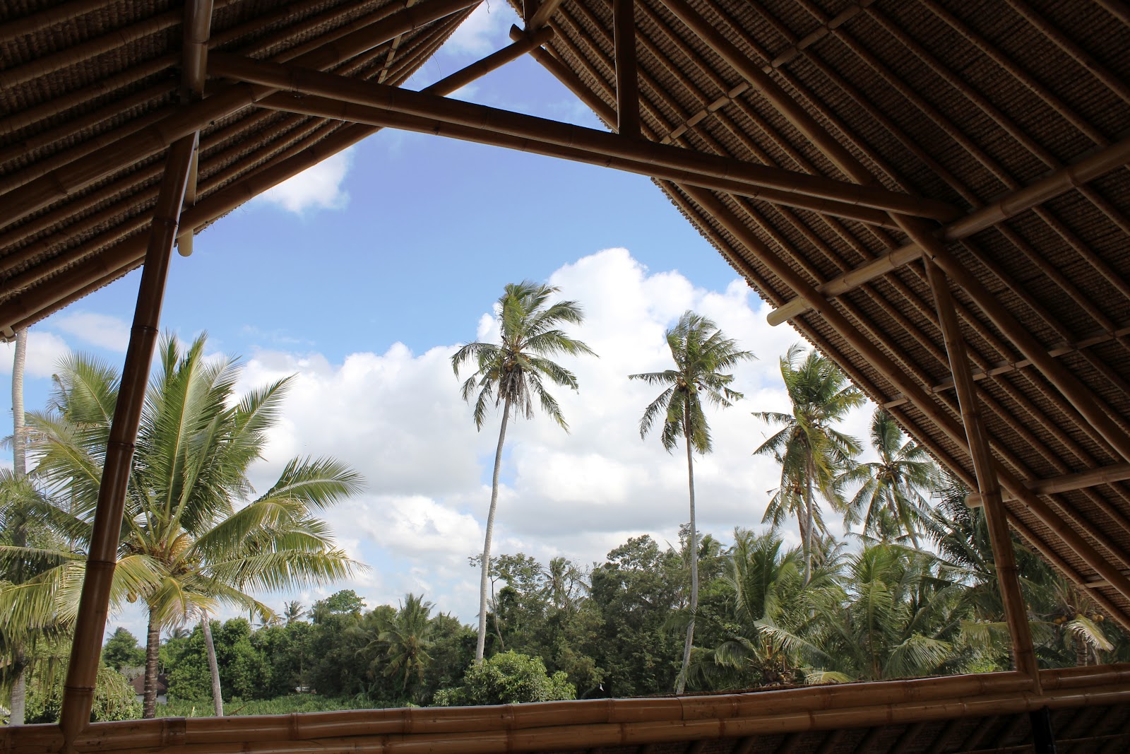 This Bamboo Life Bamboo Chocolate Factory, Ubud