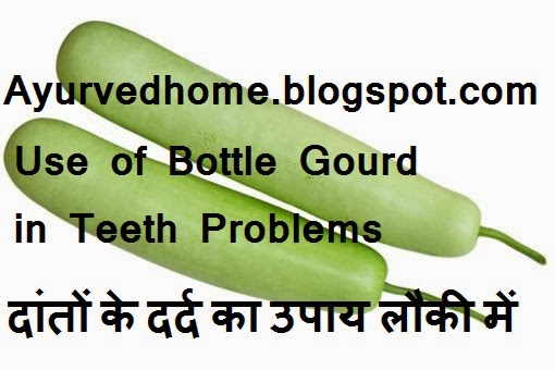 Use of Bottle Gourd in Teeth Problems  दांतों के दर्द का उपाय लौकी में समाय  Lauki Has Treatment Formula for Gums Problems