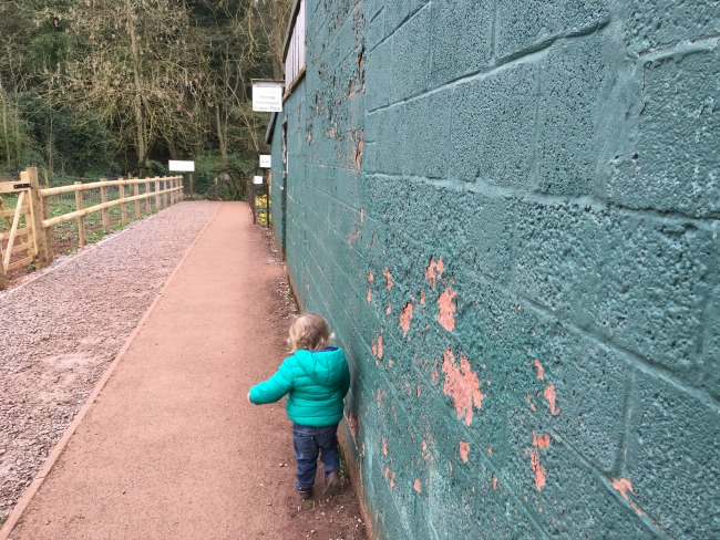 toddler on path walking next to green painted wall