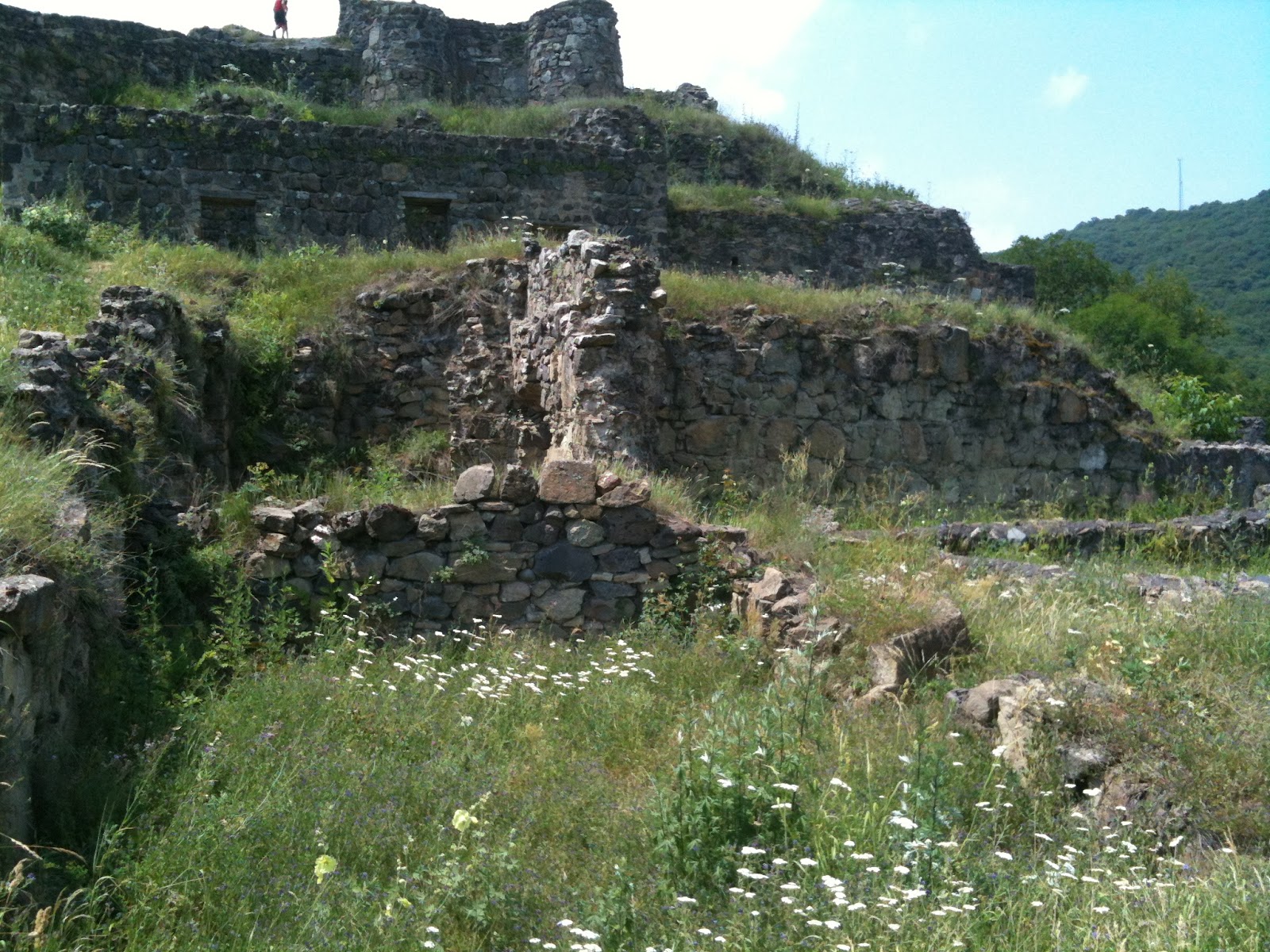 Dmanisi A Site of Old Settlement