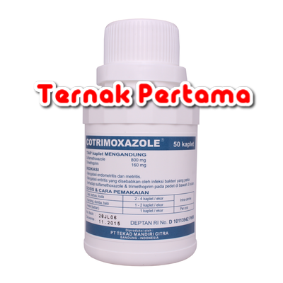  yaitu produk dalam sediaan kaplet dengan kandungan  COTRIMOXAZOLE 960 Mg Untuk Pedet Sapi Kambing