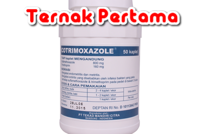 Cotrimoxazole 960 Mg Untuk Pedet Sapi Kambing
