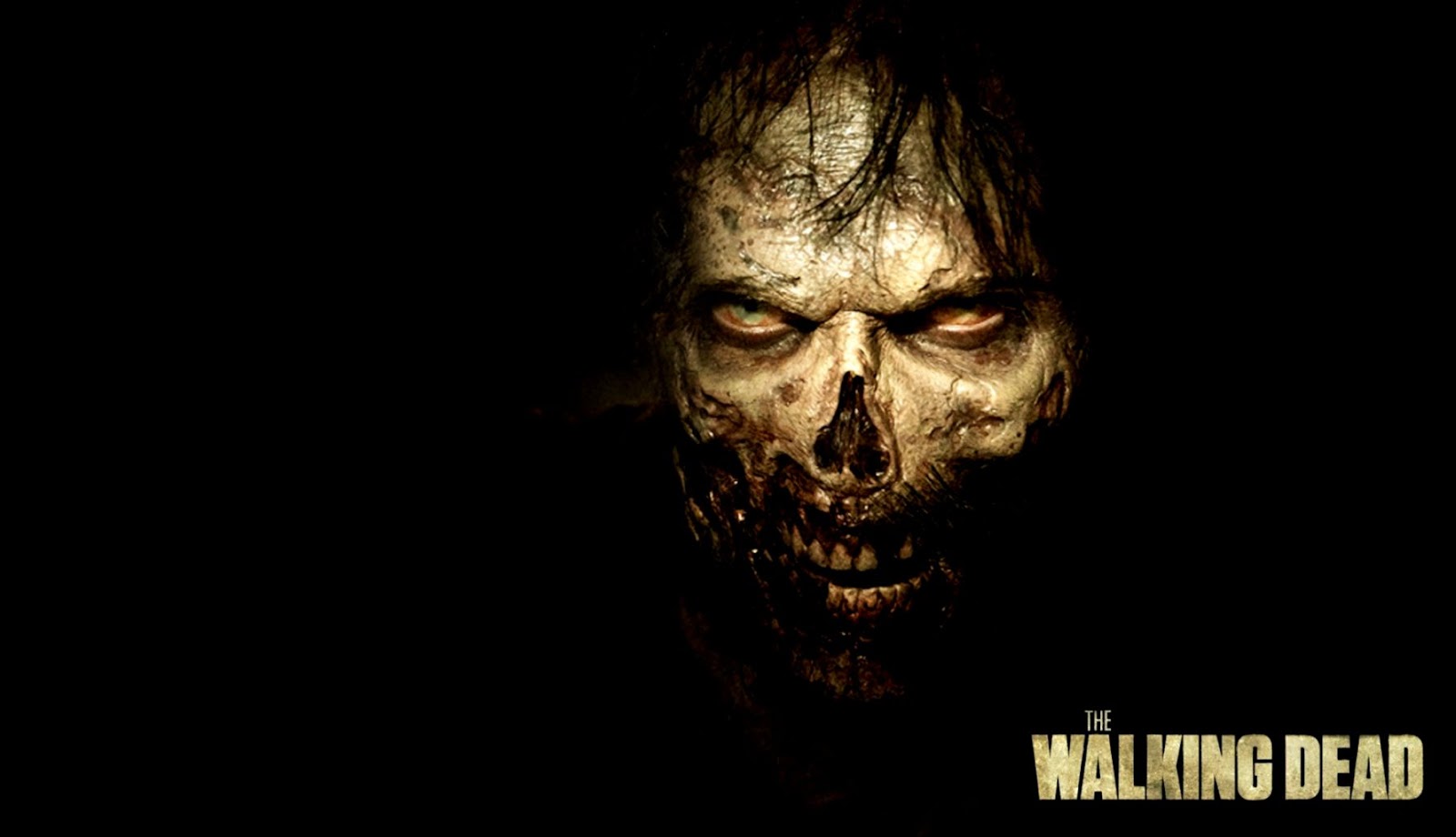 Walking Dead Season 5 Trailer