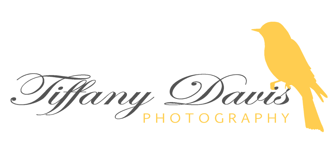 Tiffany Davis Photography