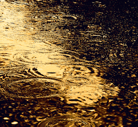 Блог Колибри: Animated rain gif