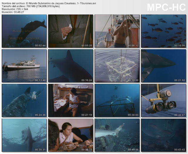 |36DVDRip|24GB|El Mundo Submarino de Jaques Costeau|MEGA|