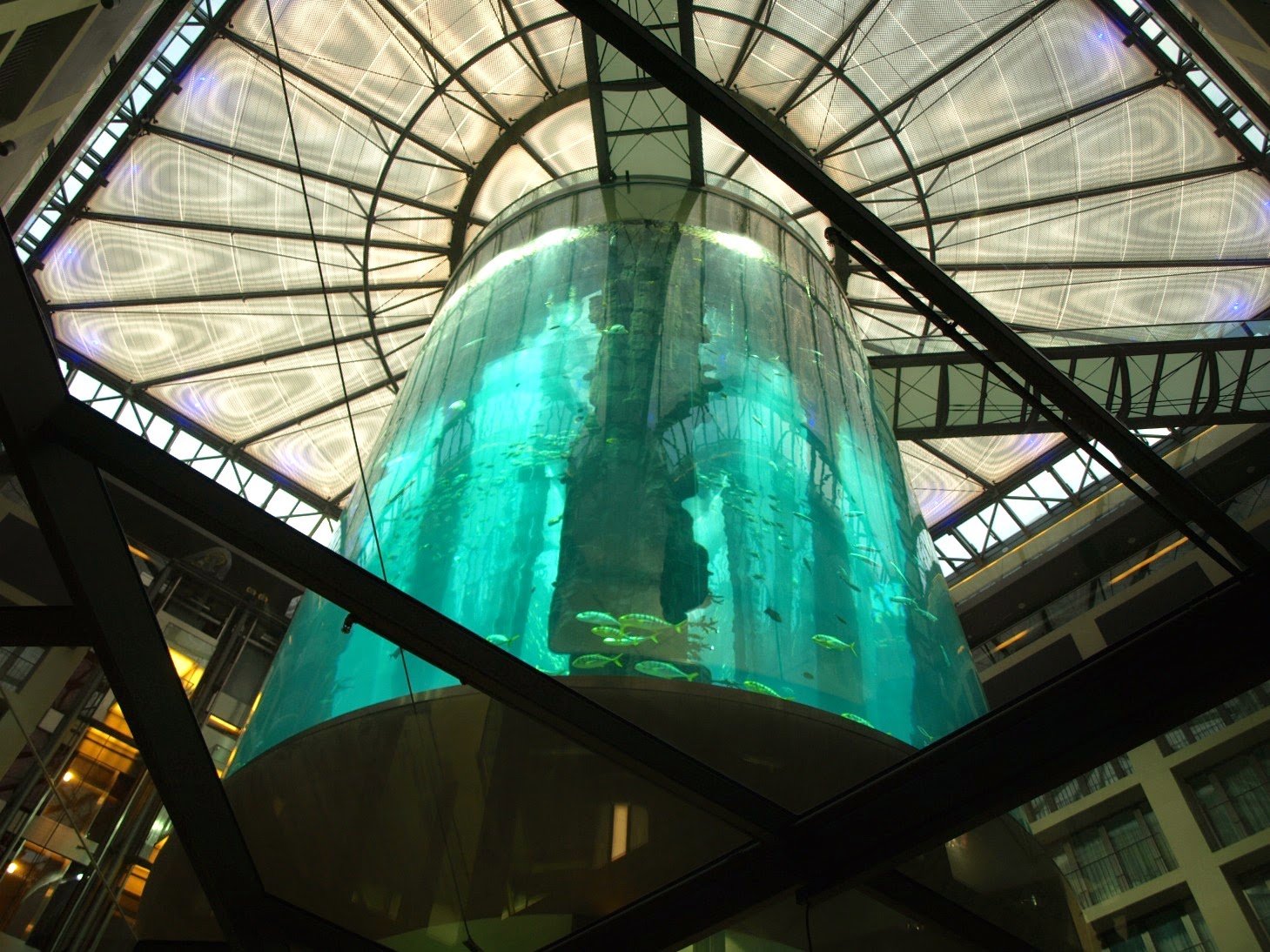 The AquaDom aquarium with unique design