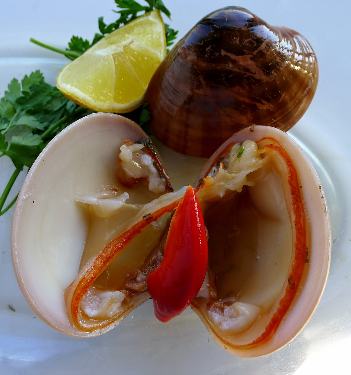 How Do You Say Clams In Spanish Ha marcado un gol en fútbol, está