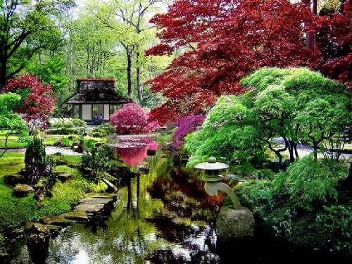 Ser Japón es mas.: Jardines japoneses.