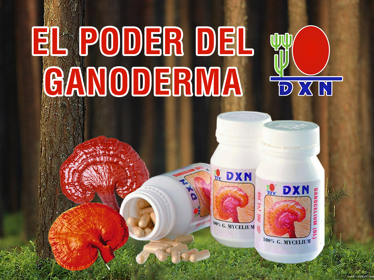 El Poder del Ganoderma DXN DXN Productos con Ganoderma Lucidum