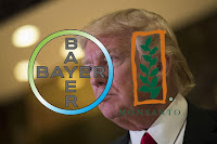 Bayer y Monsanto se reúnen con Trump y anuncian millonaria inversión en Estados Unidos