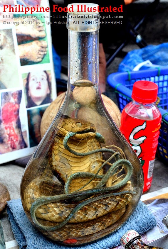 Philippine Food Illustrated snake wine